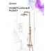 Смеситель Lemark Зенит_Zenith LMF-1626S-BRRGN для ванны и душа с регулируемой высотой штанги, монолитным изливом и верхней душевой лейкой «Тропический дождь»